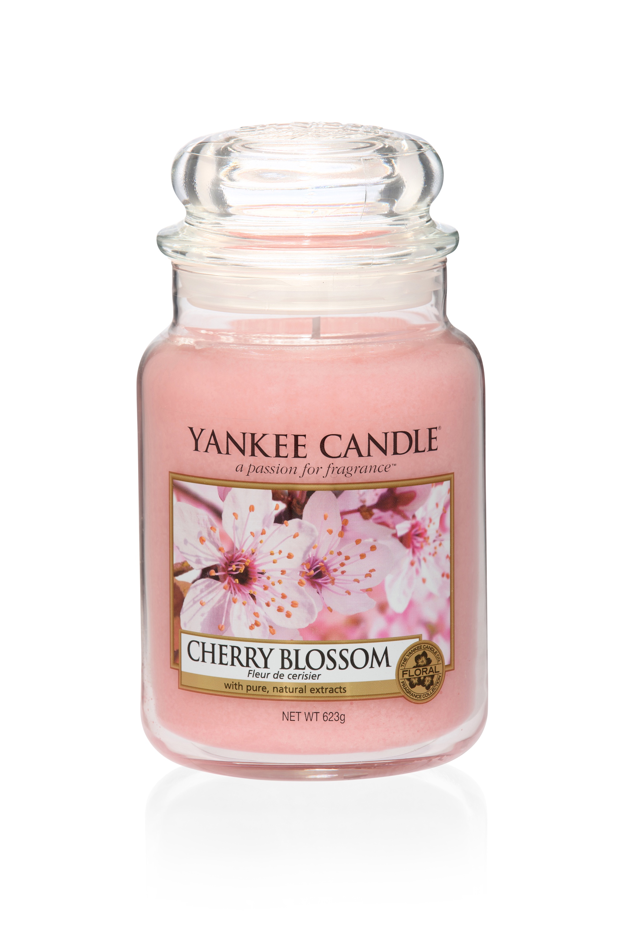 A tall glass jar full of pale Peach coloured wax with a label that has Yankee Candle Cherry Blossom written in black writing and a picture of some Cherry Blossom flowers on it, on a white background.