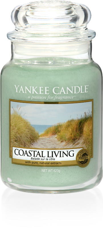 A tall glass jar full of mint green coloured wax, with a label that has a picture of some rocks next to a beach, and Yankee Candle and Coastal Living written in black writing on it, on a white background.