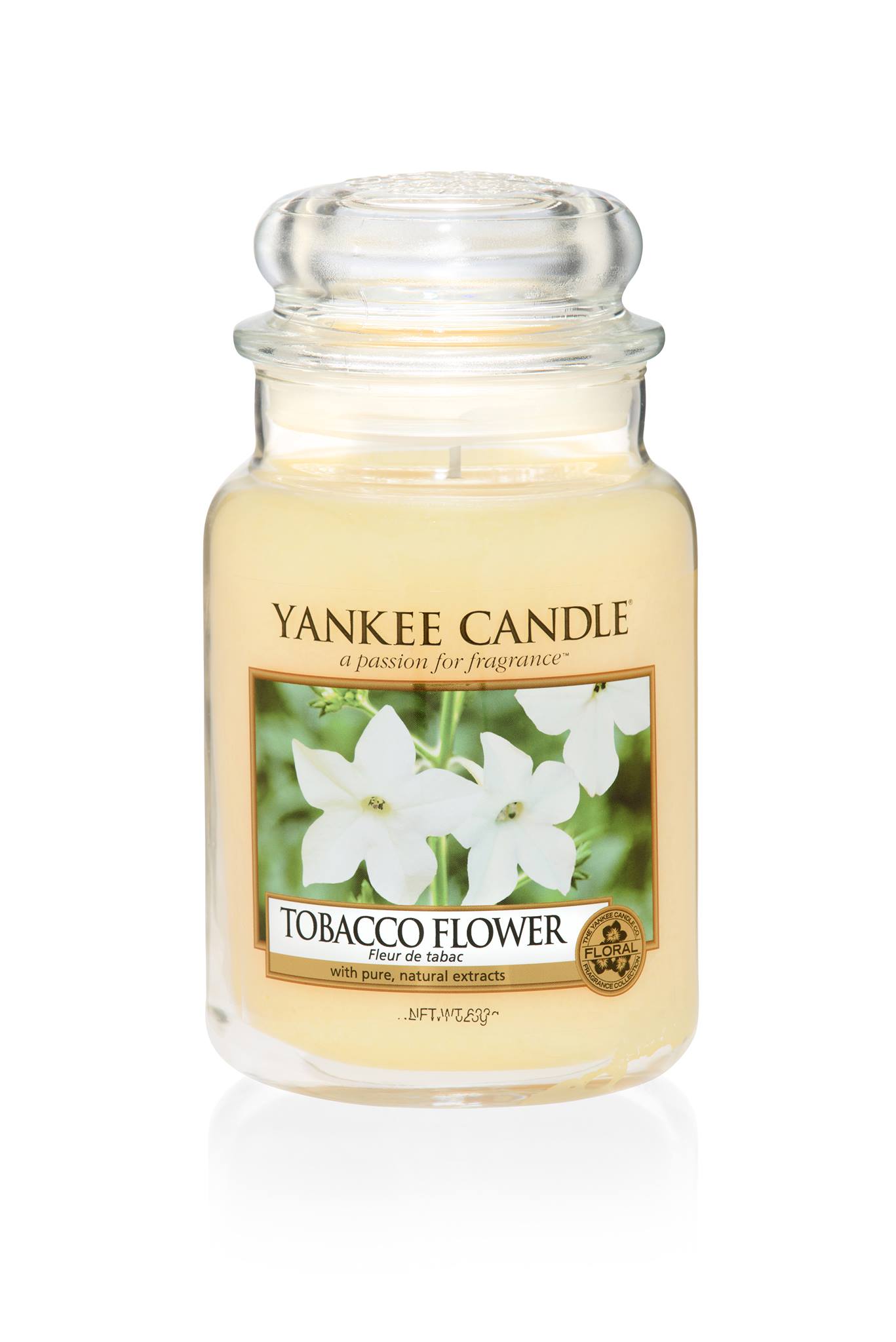 A tall glass jar full of some white coloured wax, with a label that has yankee candle written in white writing, tobacco flower written in black writing, and a picture of some white flowers on it, on a white background.