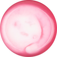 A large circular puddle of bright white and pink Jelly that's been swirled together, on a white background.