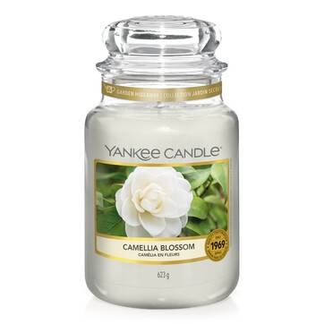 A tall glass jar full of some bright white wax with a label that has Yankee Candle written in black writing, camellia blossom written in black writing, and a picture of a large white camellia flower on it, on a white background.