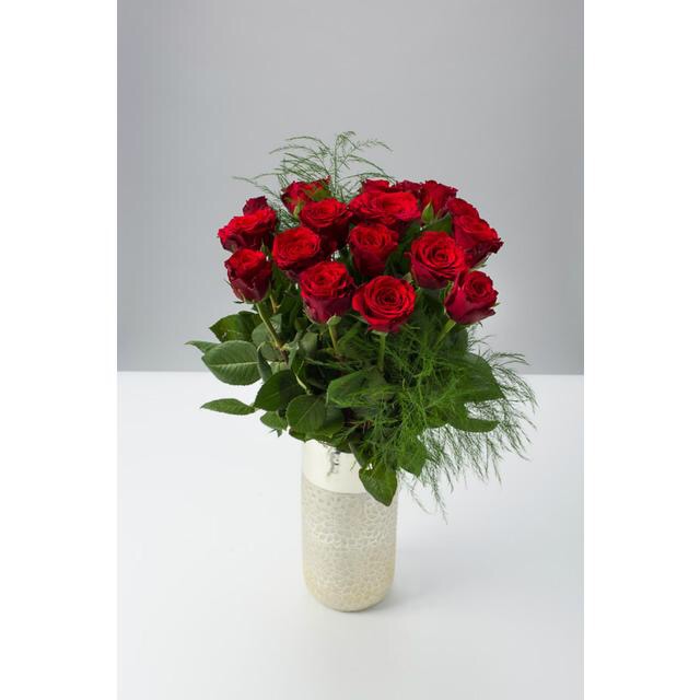 A bunch of red Roses with some green stems, in a white vase, on a white background.