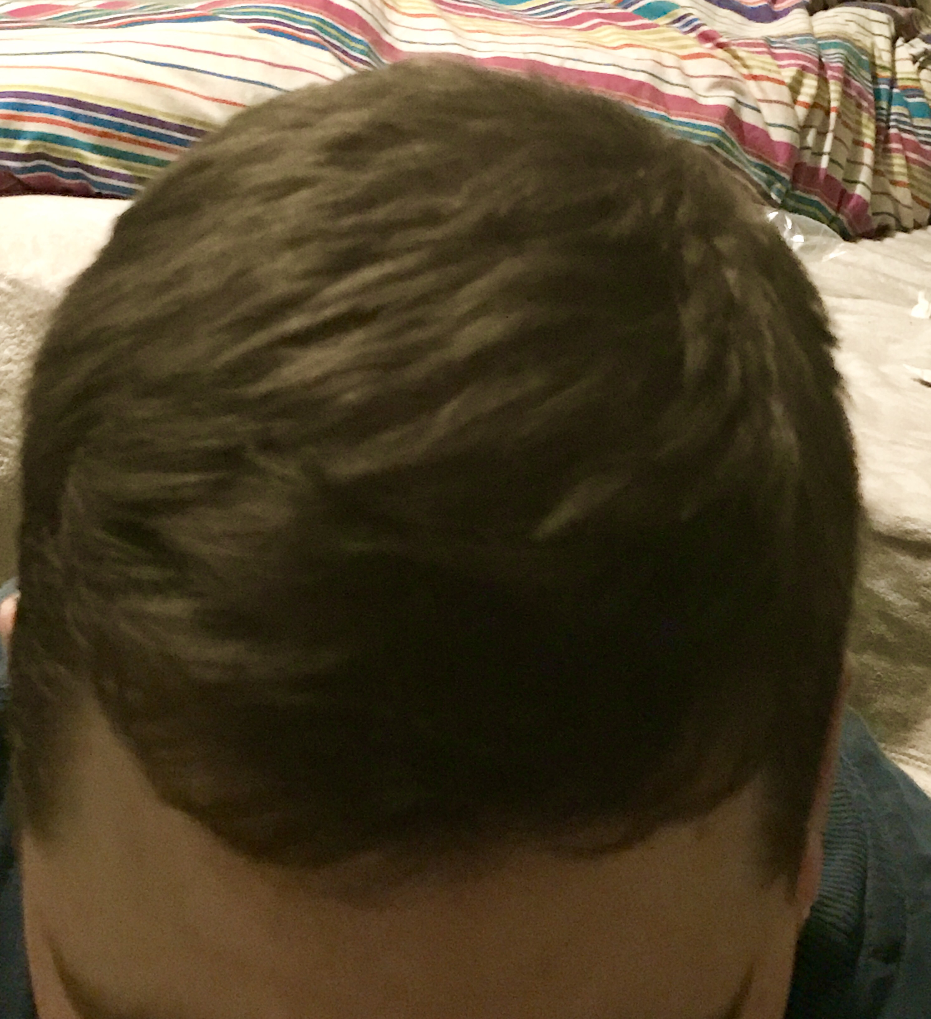 Some brown textured hair with a white forehead, on a white background.