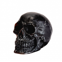 A large black skull shaped block of Soap, on a white background.