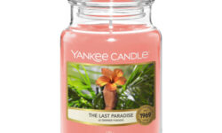 A tall cylindrical Jar full of some light pink Wax with a label that has Yankee Candle written in white writing, the last paradise written in black writing, and a picture of some multicoloured flowers on it, on a white background.