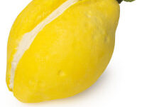 A large bright yellow lemon shaped bubble bar that has a cut In the middle of it that's filled with some bright white Cocoa Butter and is covered in some yellow lustre, on a white background.