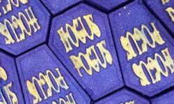 A large deep purple coffin shaped Bath Bomb that has Hocus Pocus written in bold white writing on it, on a white background.