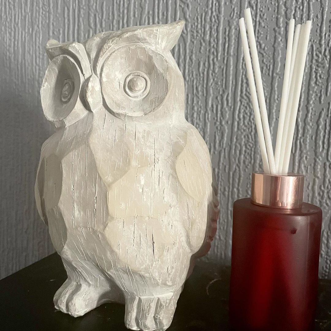 Autumn Is The Perfect Time For A Glass Of Cider | DW Home Candles Apple Cider Reed Diffuser A short cylindrical clear glass Bottle full of some bright red liquid that has a gold glass neck and eight white wooden reeds coming out of the top of it next to a tall light grey resin owl ornament that has it’s wings behind it’s back on a white Wooden cabinet, on a white background.
