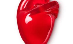 A large dark red anatomical heart shaped block of shower jelly, on a white background.