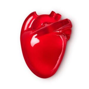 A large dark red anatomical heart shaped block of shower jelly, on a white background.