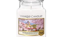 A tall cylindrical glass jar full of some bright white wax with a label that has Yankee Candle written in black writing, Sakura Blossom Festival written in black writing, and some pictures of some pale pink Cherry Blossoms on it, on a white background.