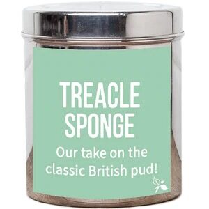 A short cylindrical silver metal tin with a light blue label that has bird & blend tea company Treacle Sponge Loose Leaf Tea written in bold white writing on it, on a white background.