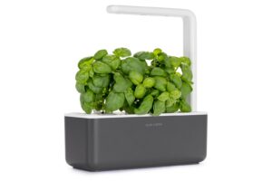 A large rectangular dark brown plastic tray that has a large dark green plant on top of it, on a white background.