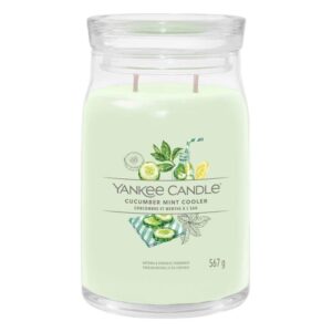 A tall cylindrical glass jar full of some light green wax with a label that has Yankee Candle written in white writing, Cucumber Mint Cooler written in black writing, and some pictures of some bright green cucumbers and some dark green mint leaves on it, on a white background..