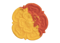 A medium bright Orange and yellow Yorkshire Rose shaped Bath Bomb, on a white background.