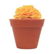 A short cylindrical dark terracotta flower pot shaped block of soap that has some dark green flowers coming out of the top of it, on a white background.
