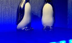 Two tall silver ceramic Penguin ornaments that both have white bellies behind a small cylindrical frosted glass jar full of some bright blue wax, on a black wooden cabinet.