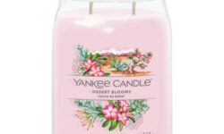 A tall cylindrical glass jar full of some bright pink wax with a label that has Yankee Candle written in white writing, Desert Blooms written in black writing, and a picture of some bright pink desert plants on it, on a white background.