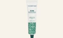 A long and thin bright white plastic tube that has The Body Shop Tea Tree Rapid Action Gel written in bold black writing, a picture of a dark green stripe, and a picture of some dark green Tea Tree Leaves on it, on a white background.