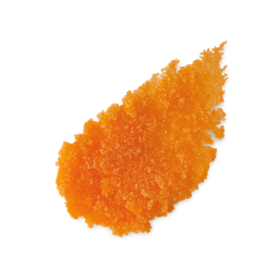 A medium circular puddle of some bright orange lip scrub, on a white background.