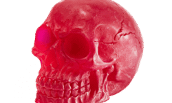 A large dark red skull shaped block of soap that has some Eye Sockets, some Teeth, and some Cranial Cracks engraved on it, on a white background.
