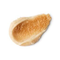 A medium circular swatch of some thick ivory body scrub that has some pieces of Castor Sugar running through it, on a white background.