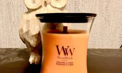 A short hourglass shaped clear glass jar full of some creamy orange wax and a light wooden wick with a black wooden lid and a white label that has WoodWick Candles Tangerine Citron written in bold black writing on it in front of a large light wooden Owl Ornament on a dark wooden cabinet.